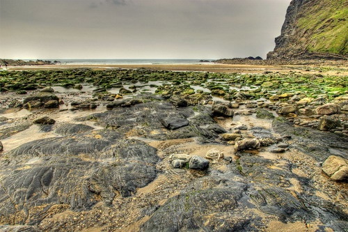 ���� :: ������� HDRi ���� 45
