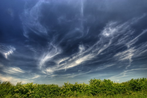 ���� :: ������� HDRi ���� 47