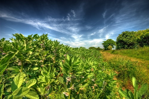 ���� :: ������� HDRi ���� 48