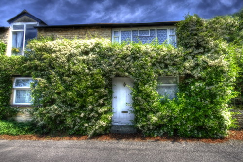 ���� :: ������� HDRi ���� 49