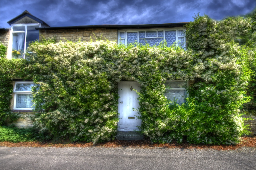 ���� :: ������� HDRi :: ���������� 1