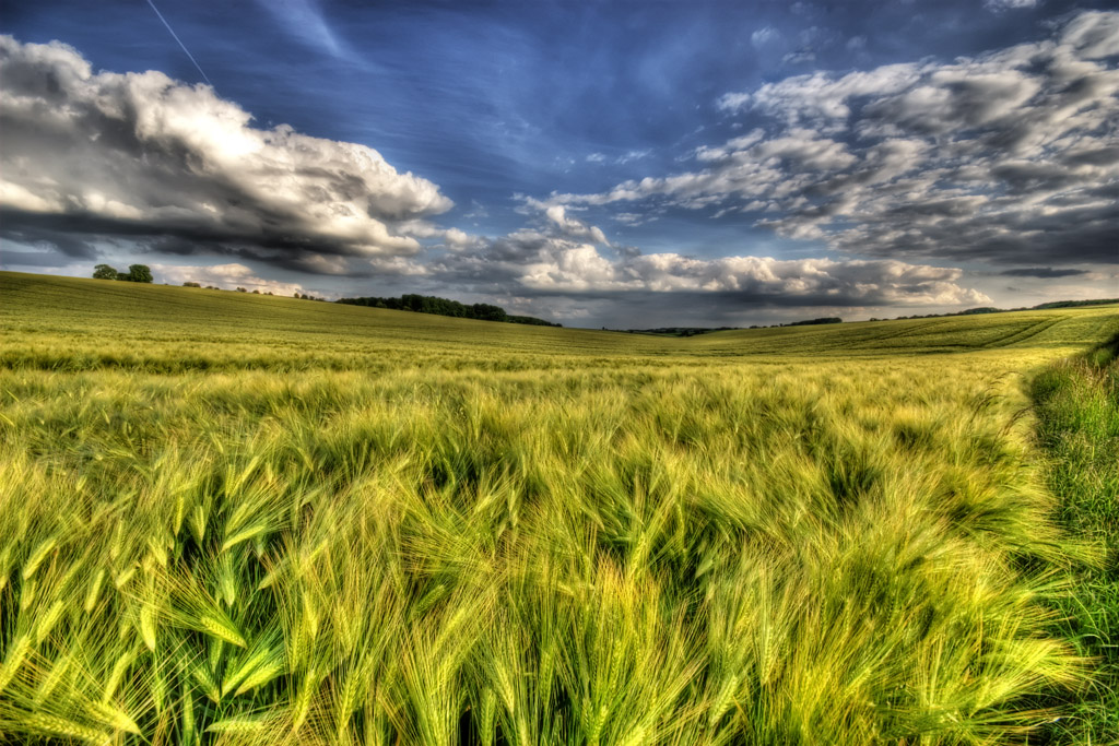 ���� :: ������� HDRi :: ���������� 1