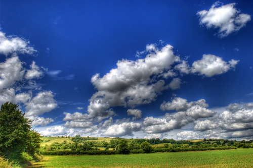 ���� :: ������� HDRi ���� 60