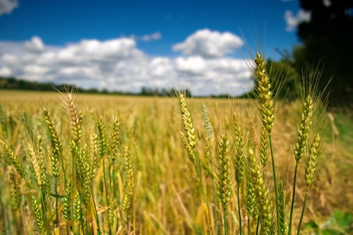 ���� :: ������� HDRi ���� 61