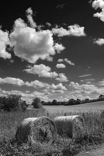 ���� :: ������� HDRi ���� 62