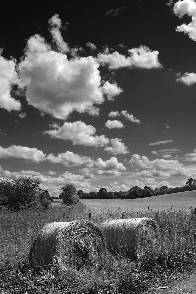 ���� :: ������� HDRi :: ���������� 1