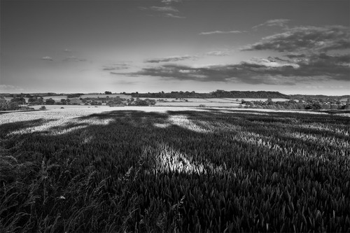 ���� :: ������� HDRi ���� 63