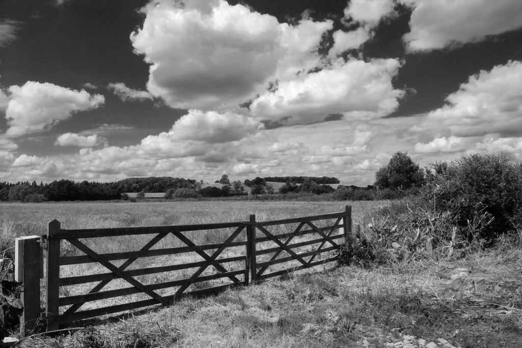 ���� :: ������� HDRi :: ���������� 1