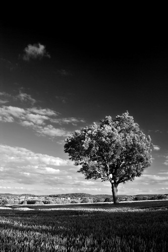 ���� :: ������� HDRi ���� 66