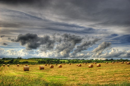 ���� :: ������� HDRi ���� 68