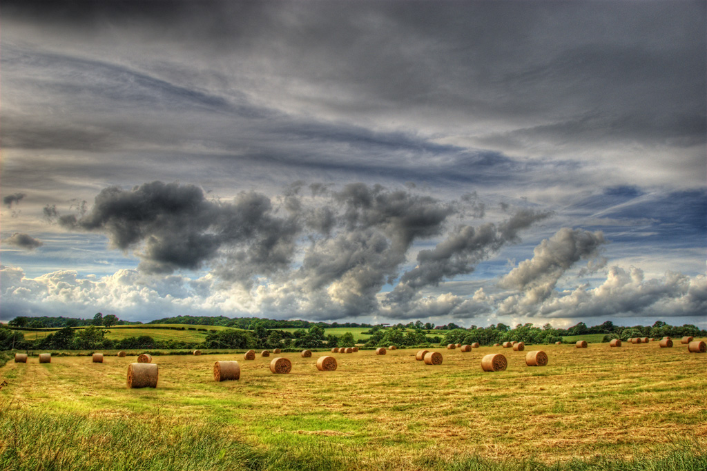 ���� :: ������� HDRi :: ���������� 1