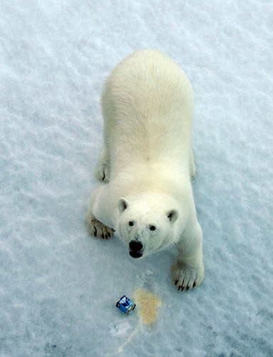 �������� ��� :: �� ����� ������� ���� 15