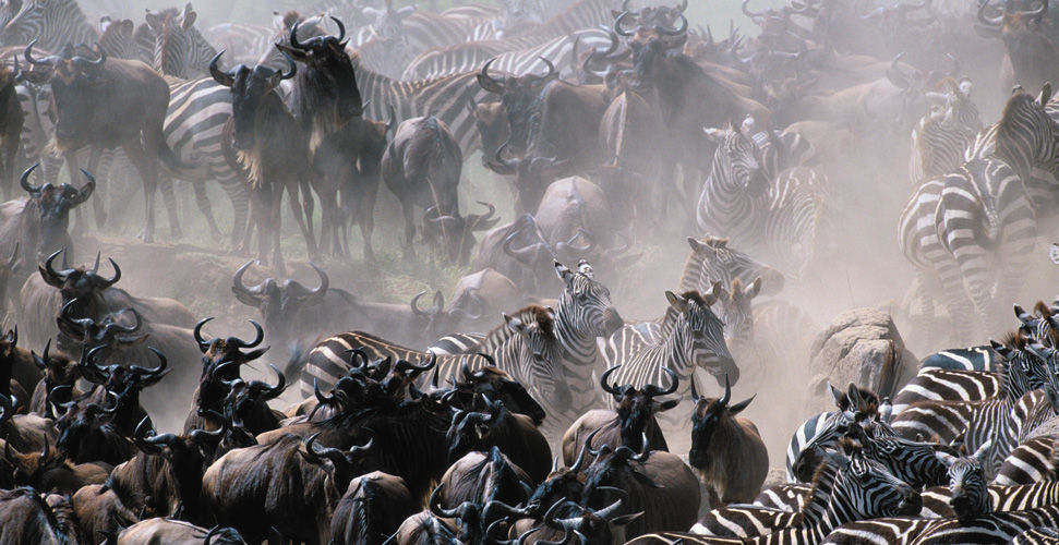����� ������� :: ���������� 1