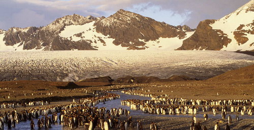 ����� ������� ���� 23