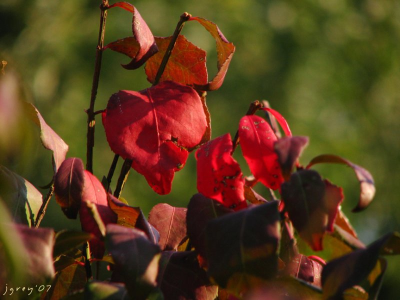 ������� :: ������� ������ :: ���������� 1