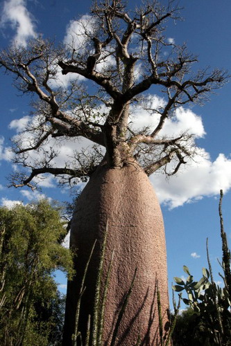 ������� - �������� �������. ���� 67