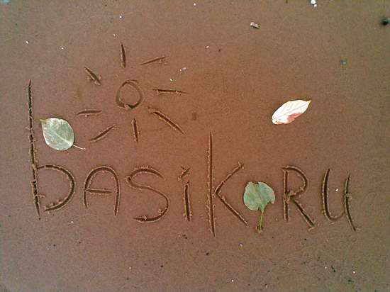   ::   basik.ru