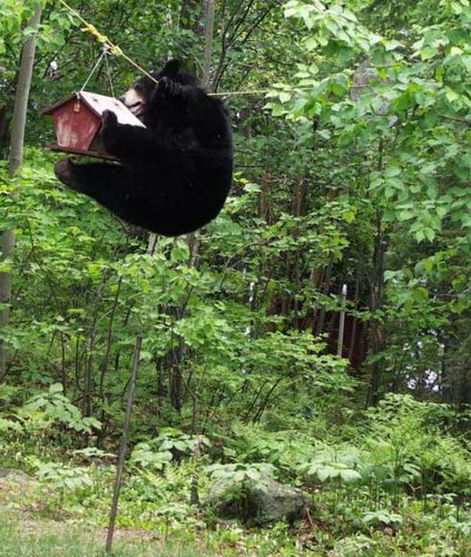 ������� ������� ���� 3
