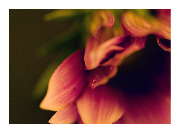 ������� :: ������� ������ :: ���������� 1