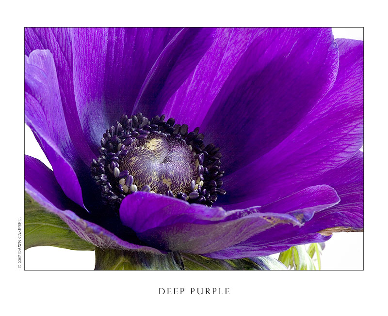 ������� :: ������� ������ :: ���������� 1
