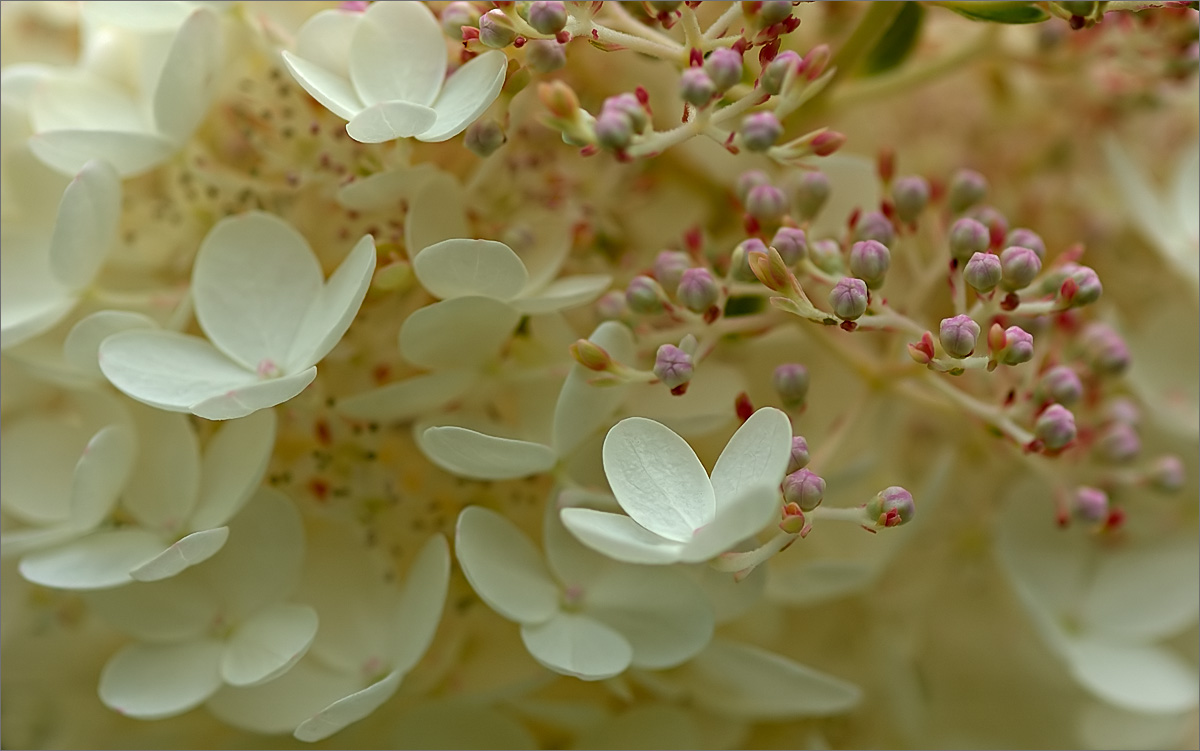 ���� �� ������� ���� :: ������� ������ :: ���������� 1