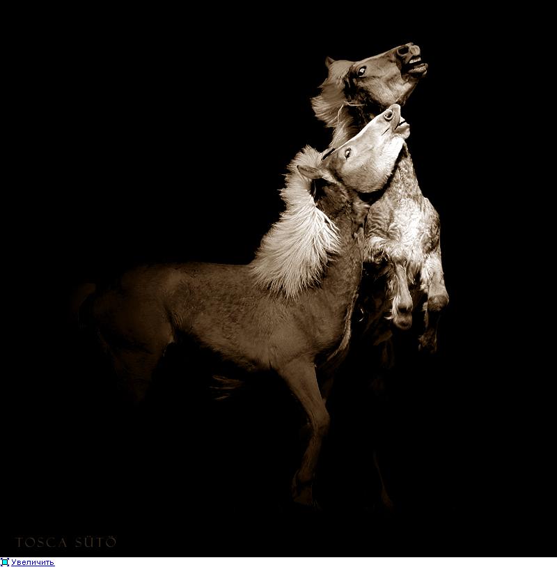 �������� ��� :: ������� :: ���������� 1