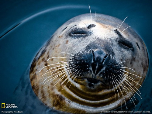National Geographic ���� 4