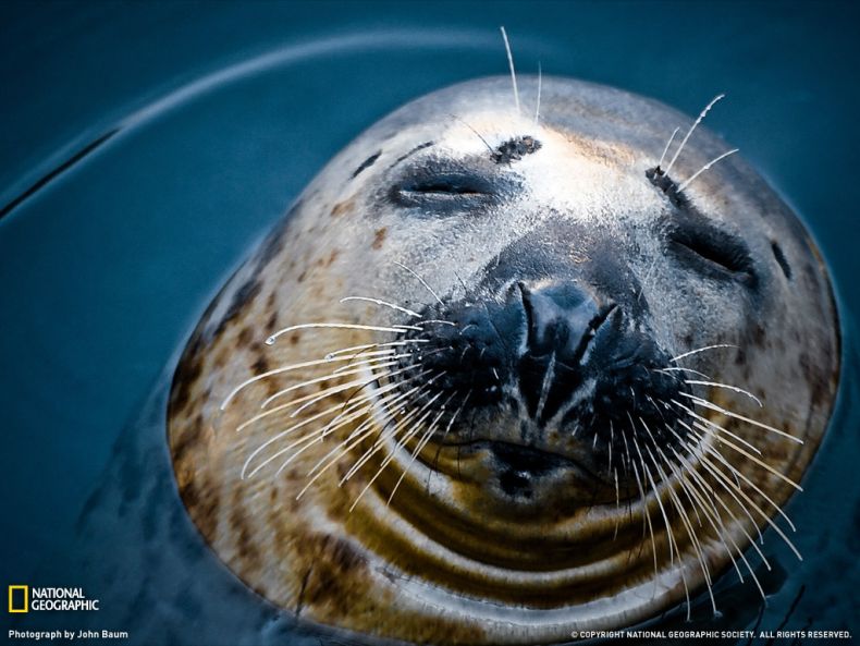 National Geographic :: ���������� 1
