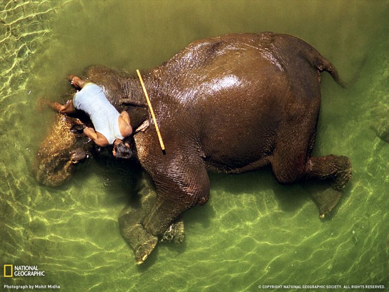National Geographic :: ���������� 1