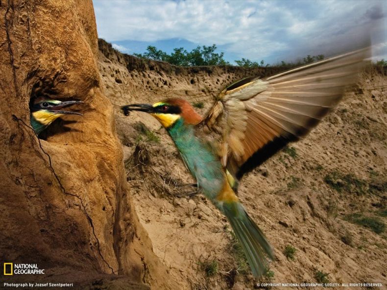 National Geographic :: ���������� 1
