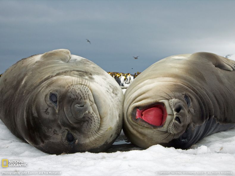National Geographic :: ���������� 1