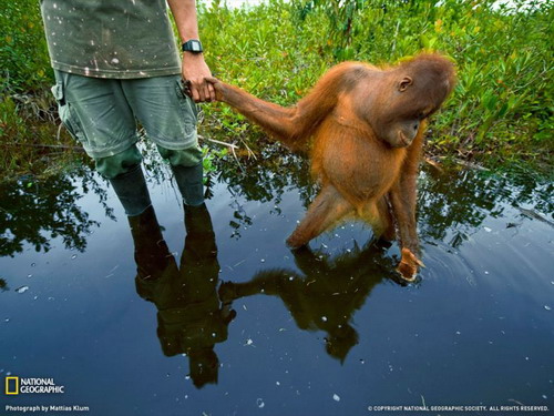 National Geographic ���� 25