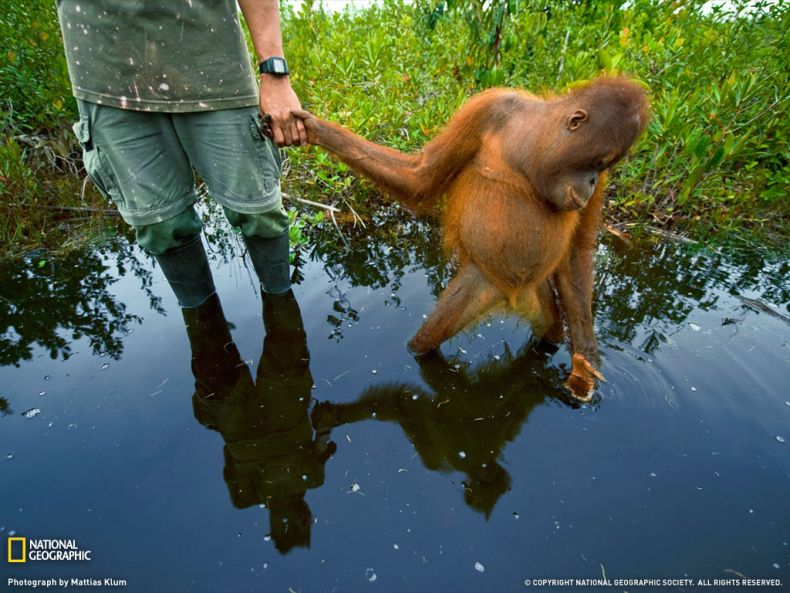 National Geographic :: ���������� 1