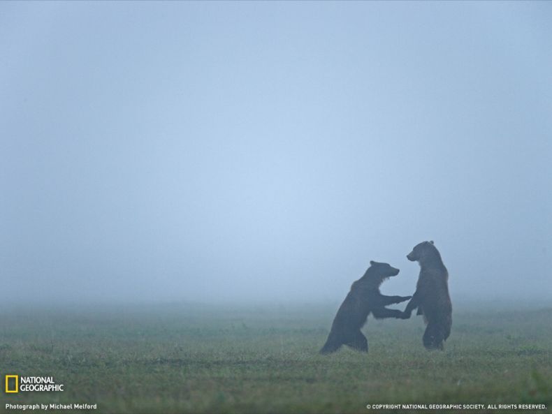 National Geographic :: ���������� 1