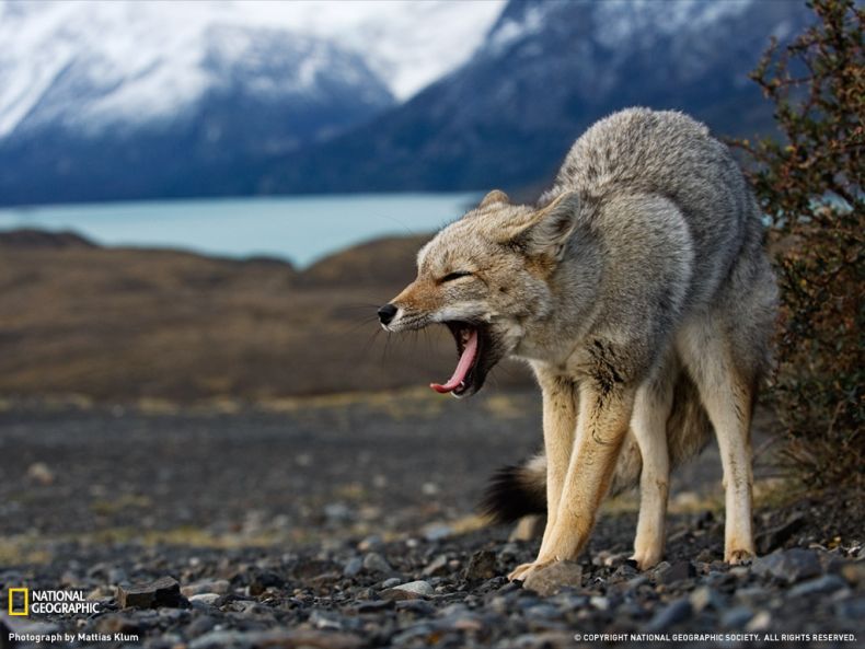 National Geographic :: ���������� 1