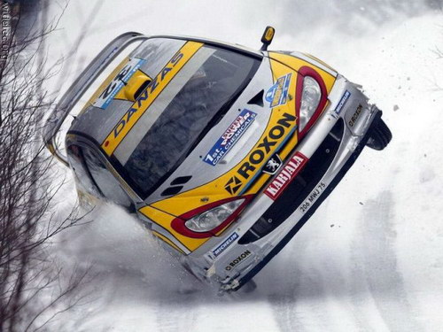 ���������� :: �����-���� 2007 ���� 8