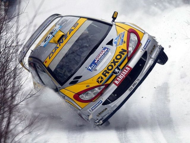 ���������� :: �����-���� 2007 :: ���������� 1