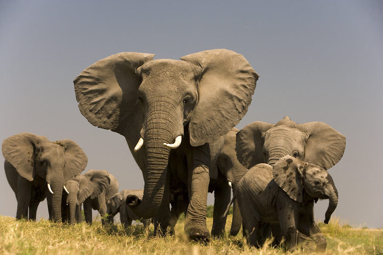 �������� ��� :: ����� ������� :: ���������� 1