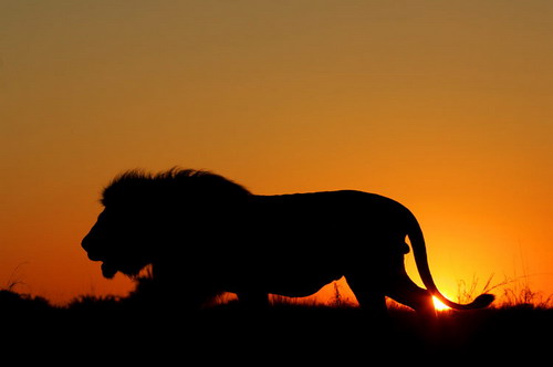 �������� ��� :: ����� ������� ���� 19