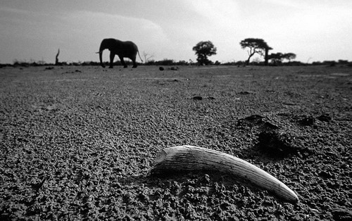 �������� ��� :: ����� ������� ���� 50