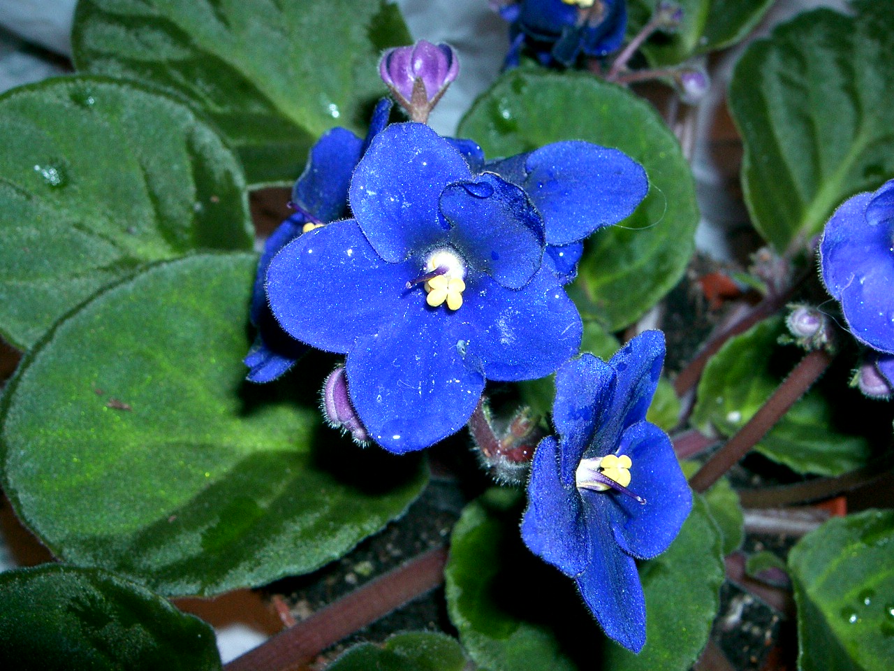 ������� :: ��������� ����� :: ���������� 1