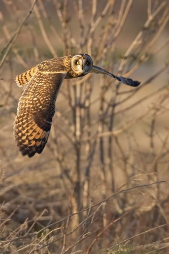 �������� ��� :: ����� ���� 34
