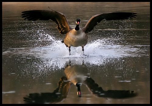 �������� ��� :: ���� ���� ���� 23