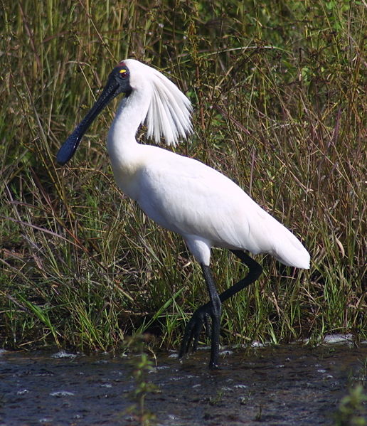 ���� ���� :: ���������� 1