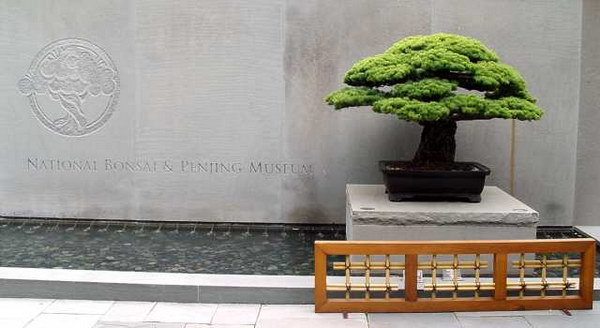 ������� :: ������ � penjing ���� 3