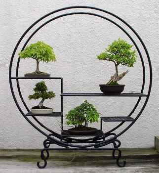 ������� :: ������ � penjing ���� 65