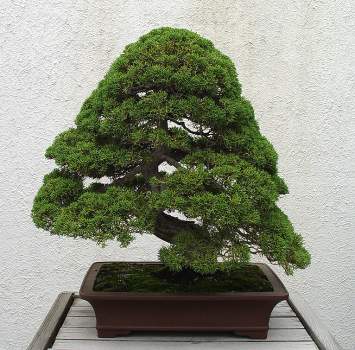 ������� :: ������ � penjing ���� 87