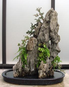 ������� :: ������ � penjing ���� 109