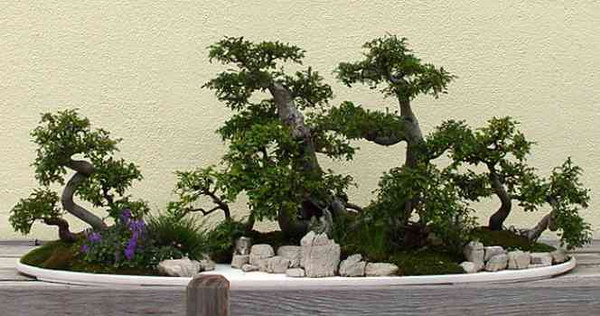 ������� :: ������ � penjing ���� 128