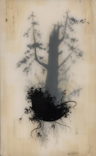  Brooks Salzwedel  1